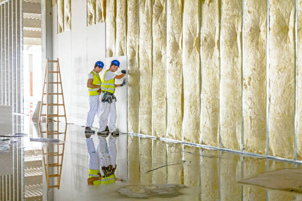 Best Insulation for Specific Applications in Lake Park, GA